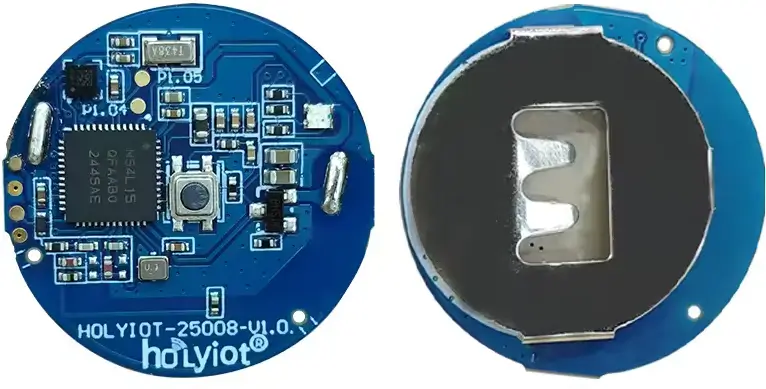 Holyiot 25008 module